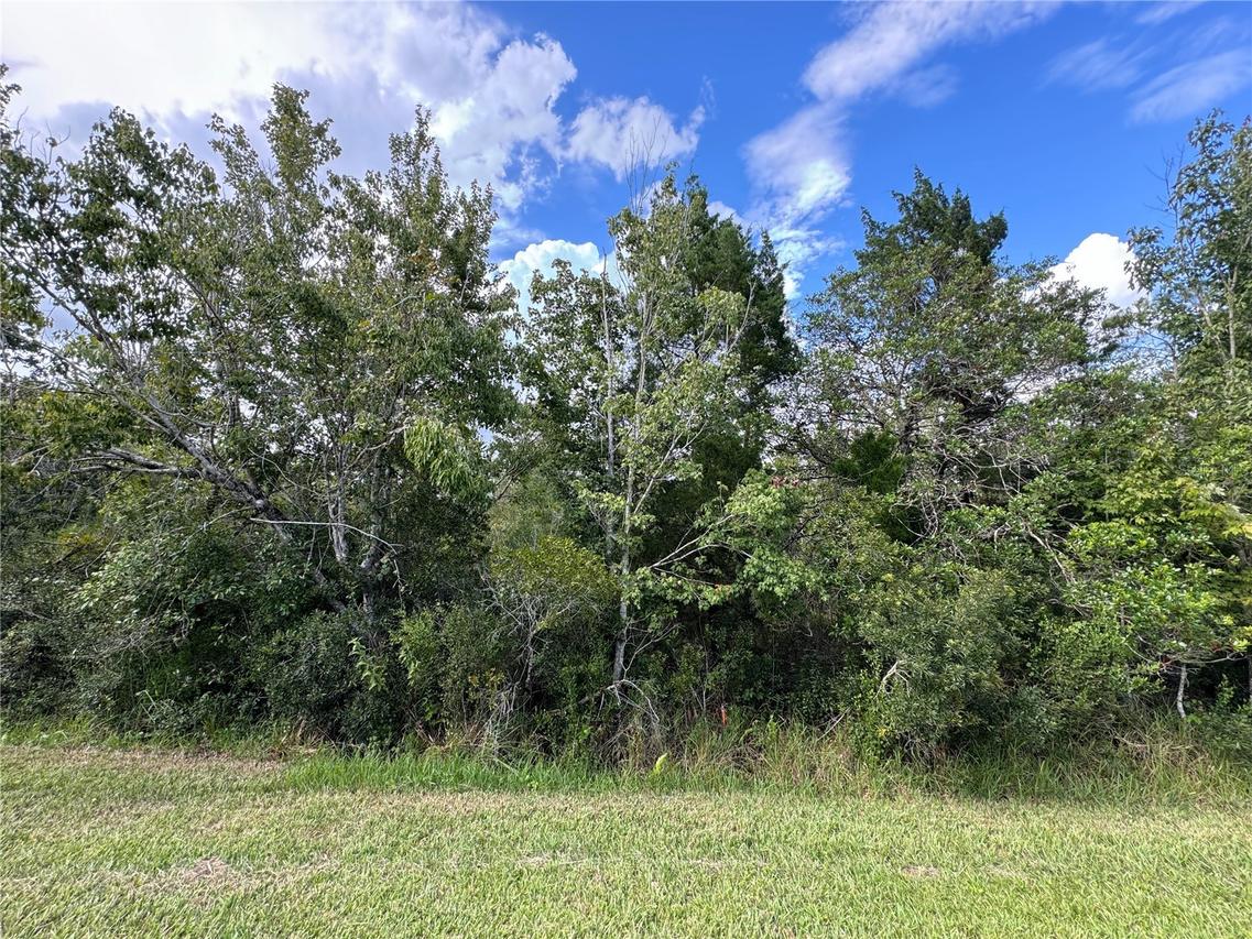 Sheldon St., Orlando, FL 32833
