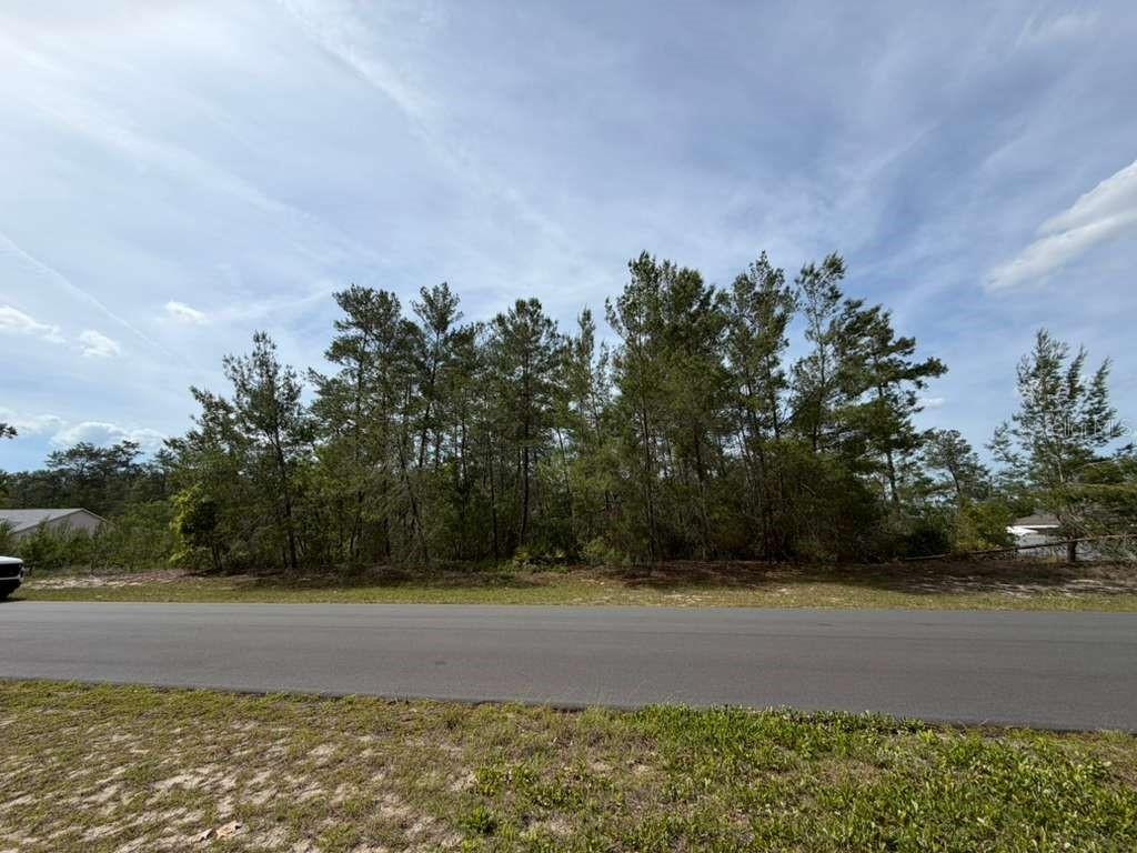 TBD Sw 41st Cir., Ocala, FL 34473