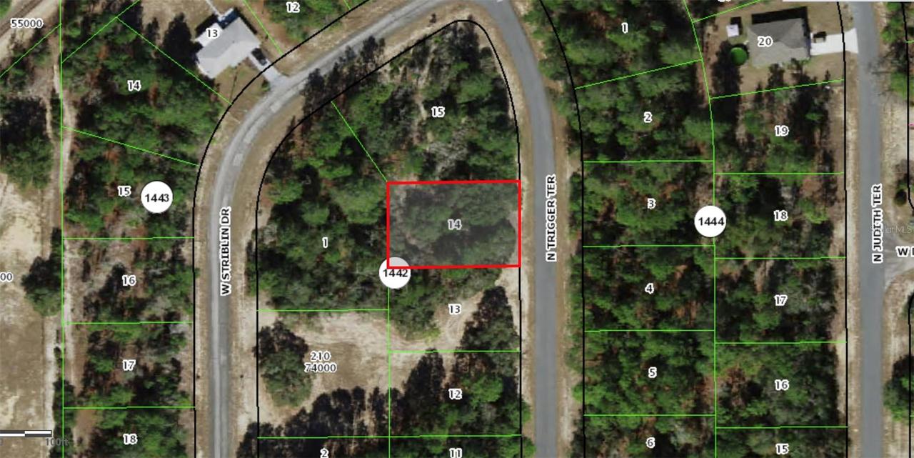 11126 N Trigger Ter., Citrus Springs, FL 34433