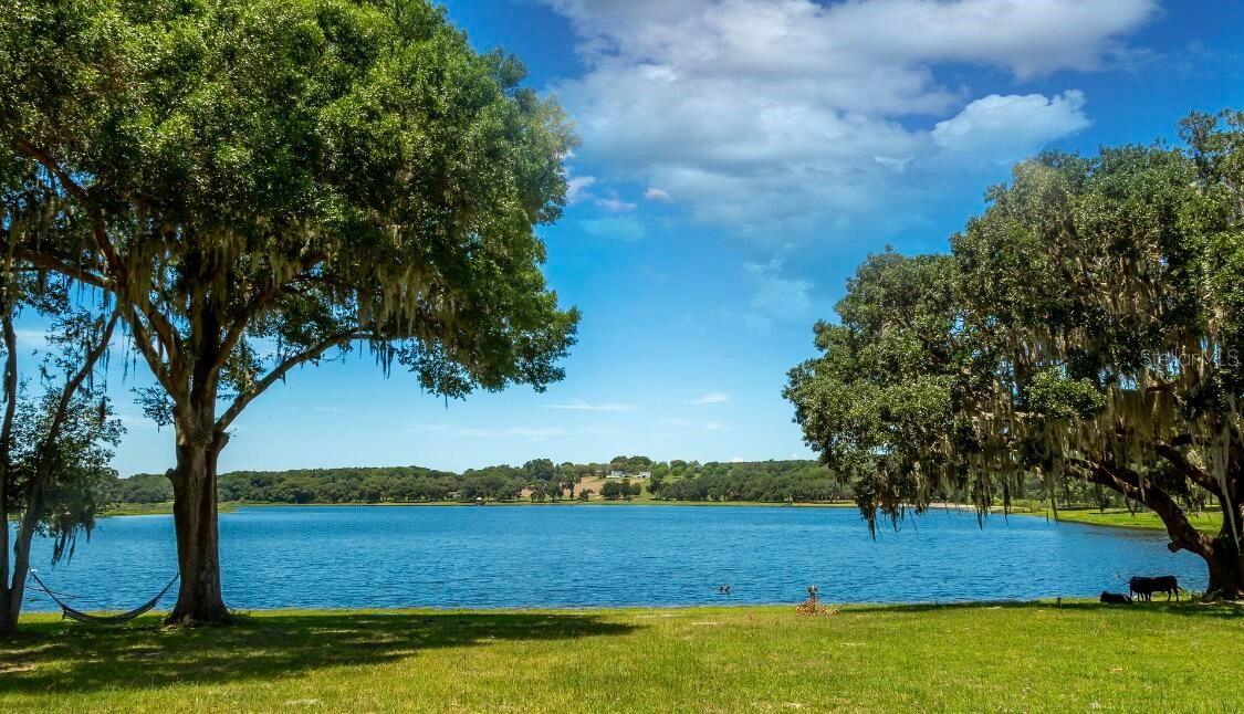 34710 Clayton Rd., Dade City, FL 33523