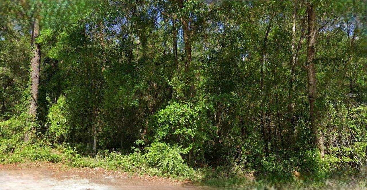NE 6th Lane Rd., Silver Springs, FL 34488