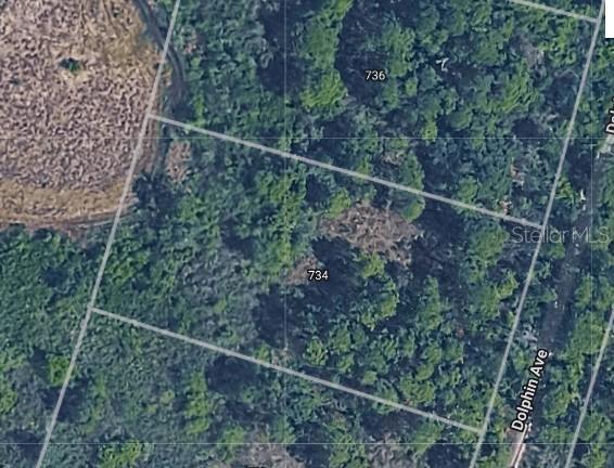 734 Dolphin Ave., Lake Placid, FL 33852