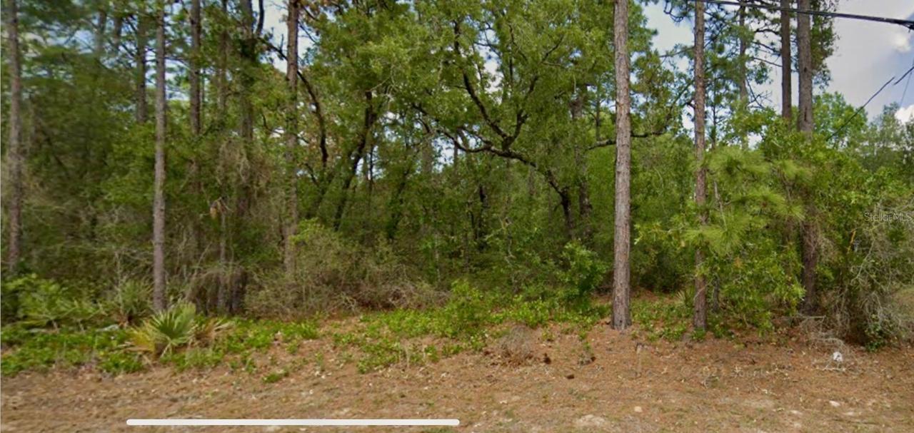 8550 N Citrus Springs Blvd., Citrus Springs, FL 34433