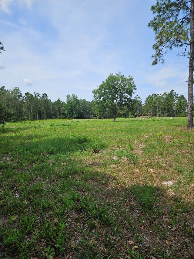 Geneva Woods Cove, Geneva, FL 32732