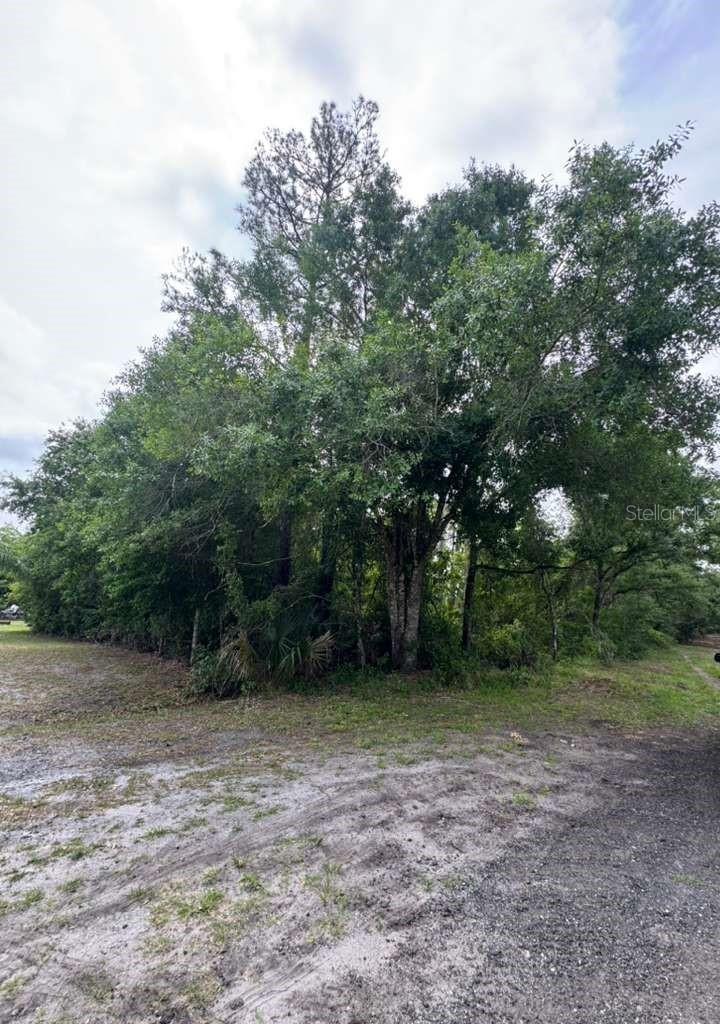 1249 Sable Palm Dr., Christmas, FL 32709