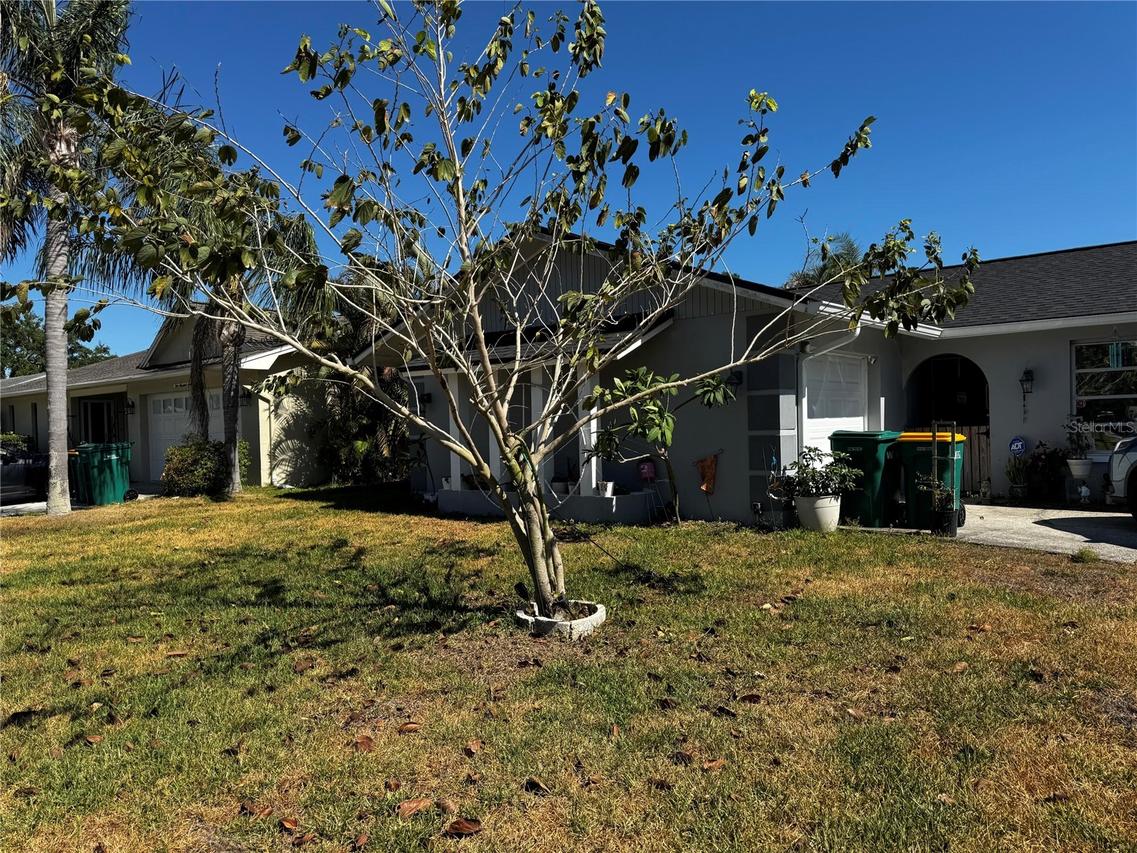 158 Sunshine Dr., Palm Harbor, FL 34684