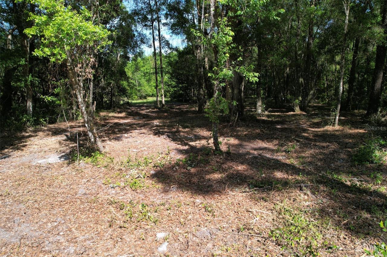 TBD SE 164th Ter., Williston, FL 32696