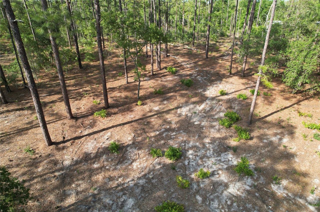 2251 SE 148th Ct., Morriston, FL 32668