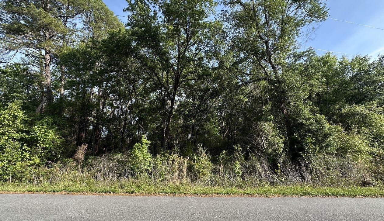 Oak Ln Way, Ocala, FL 34472