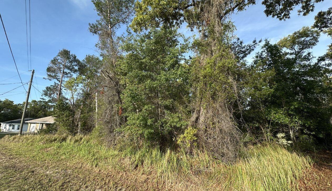 Olive Cir., Ocala, FL 34472