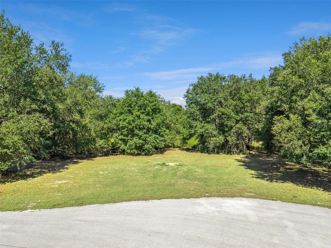 18353 Great Blue Heron Dr., Groveland, FL 34736