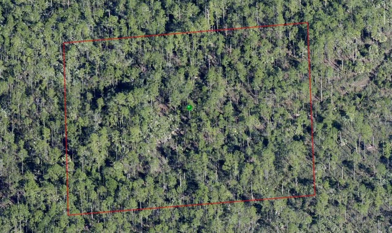 Lake Harney Rd., Osteen, FL 32764
