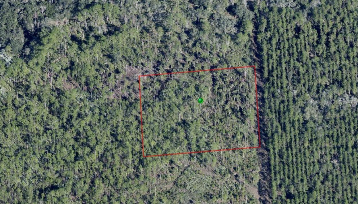 Lake Harney Rd., Osteen, FL 32764