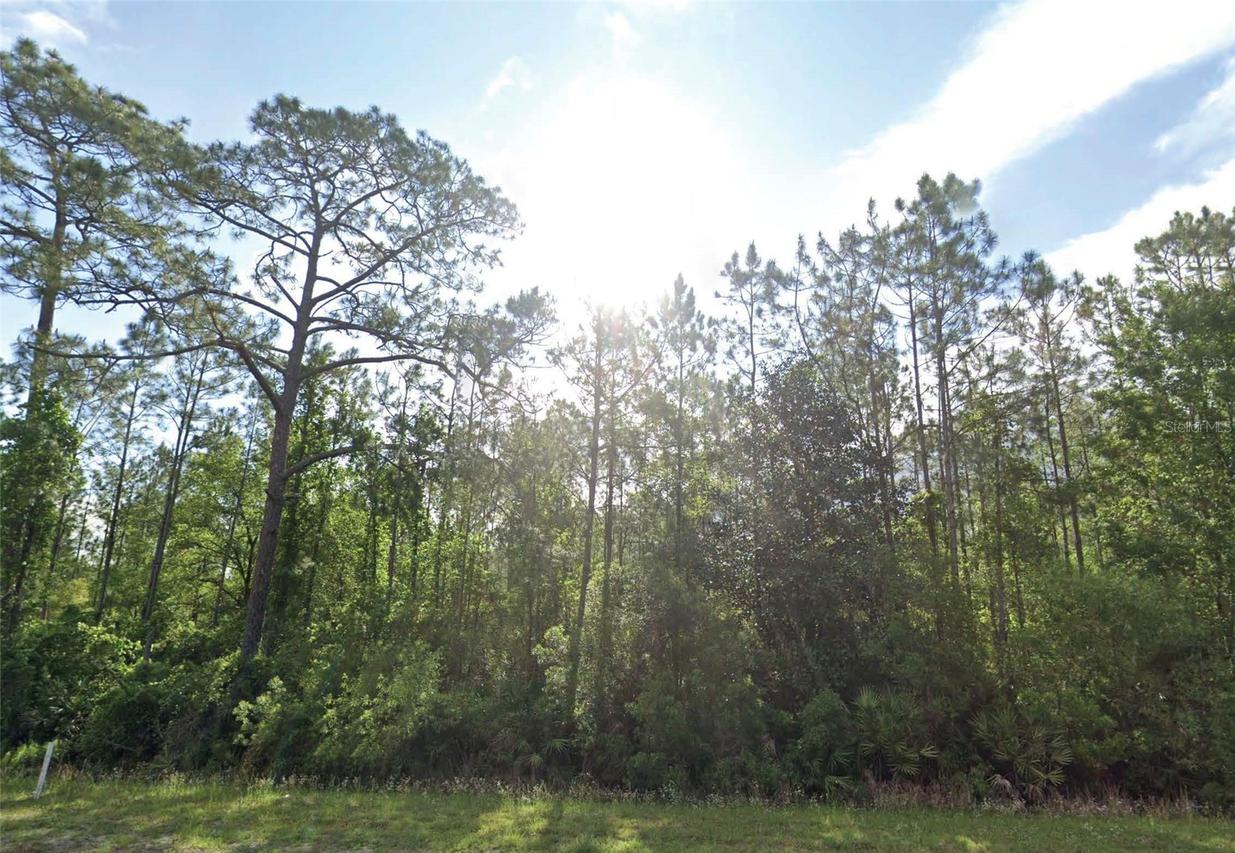 125 Madeira St., Palatka, FL 32177