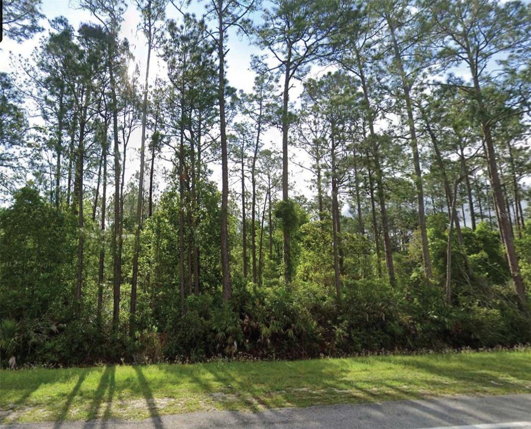 1501 S State Road 19, Palatka, FL 32177