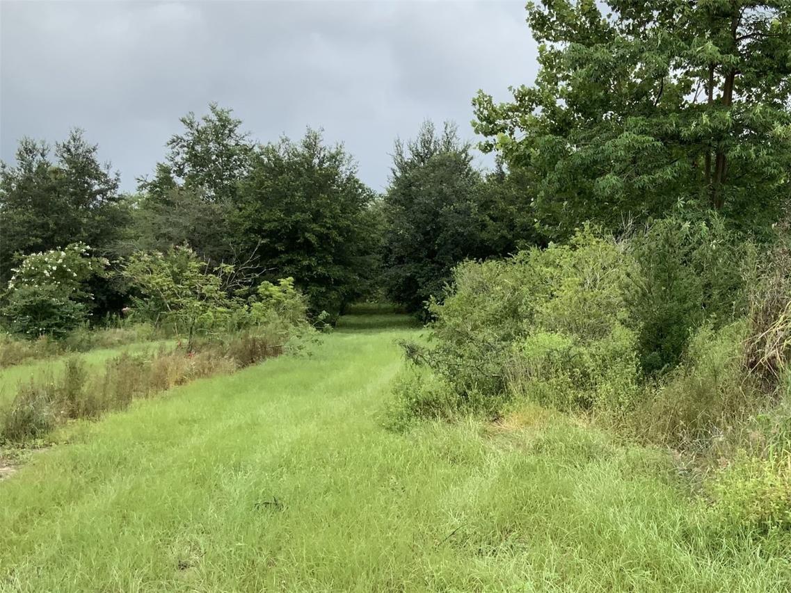 5079 Ondich Rd., Apopka, FL 32712