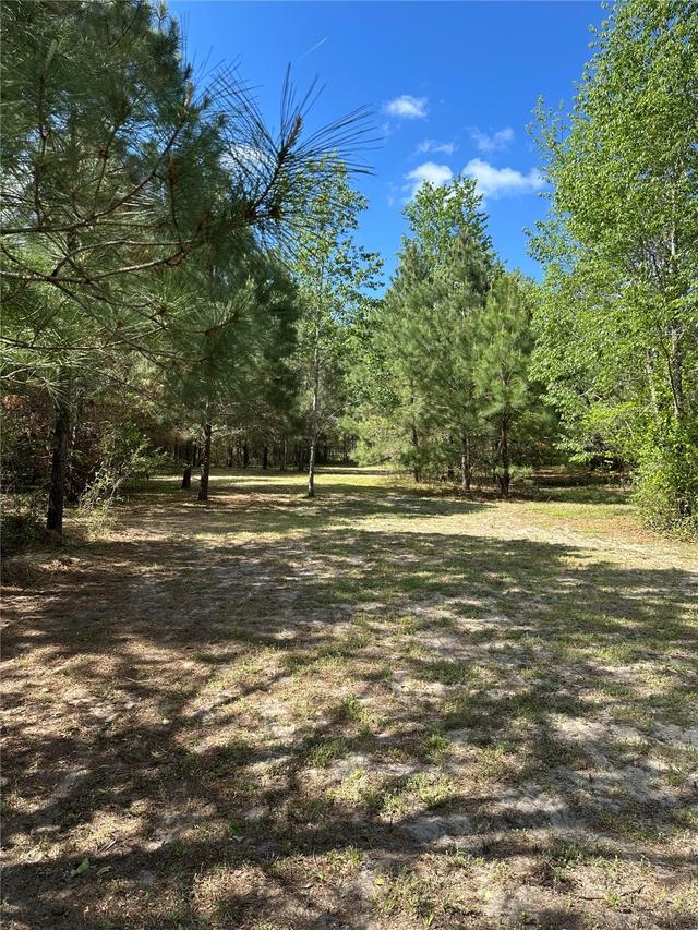 1449 SE October Rd., Lake City, FL 32025