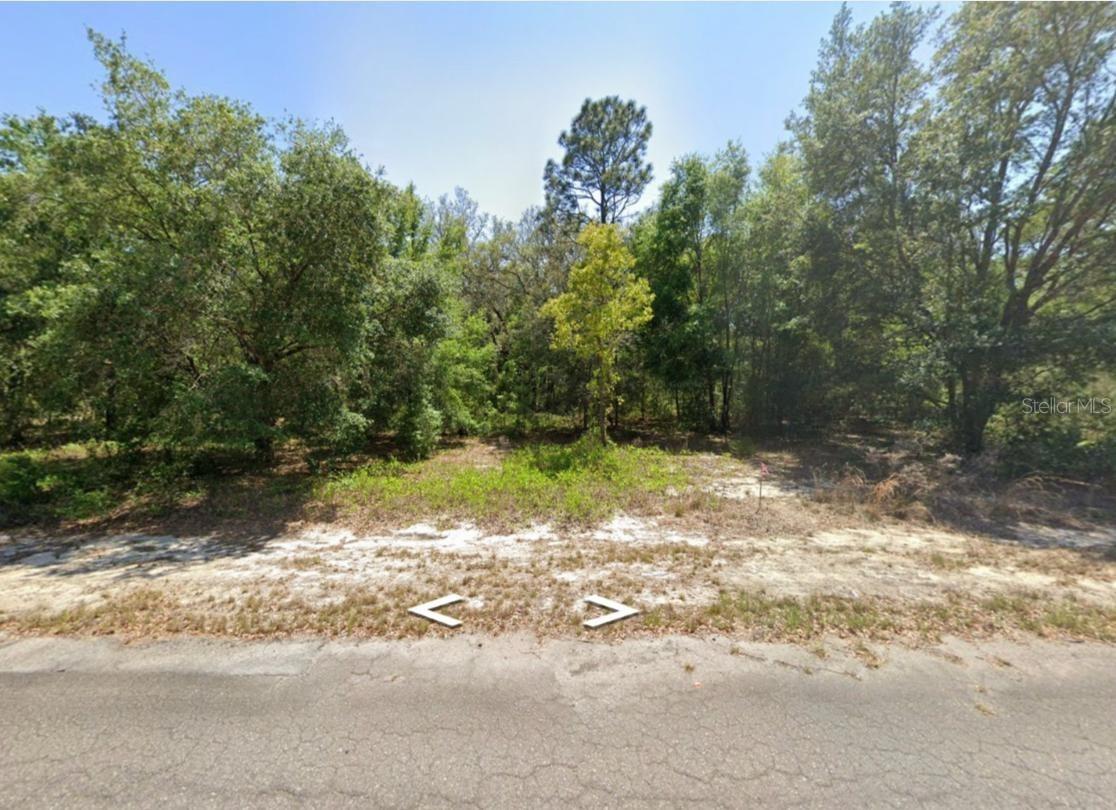 Guava Lane Pl., Ocklawaha, FL 32179