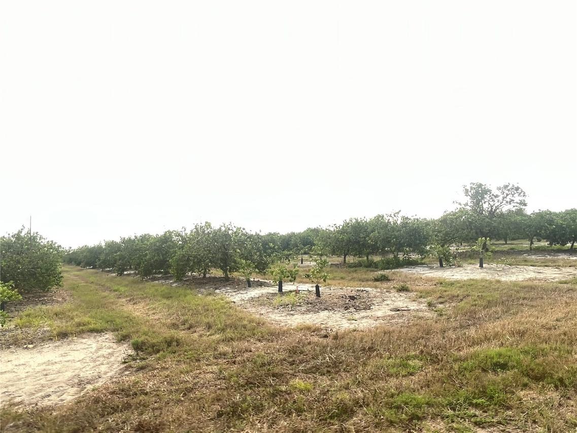 Ne Hwy 70, Arcadia, FL 34266