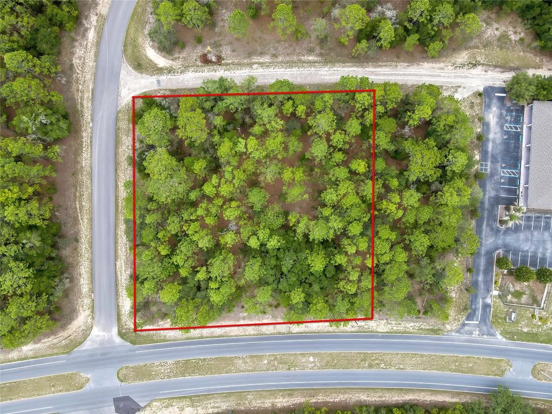 9787 N Citrus Springs Blvd., Citrus Springs, FL 34434