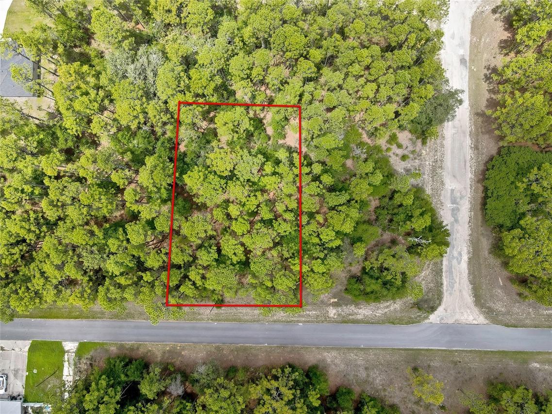 7732 N Udal Dr., Citrus Springs, FL 34434