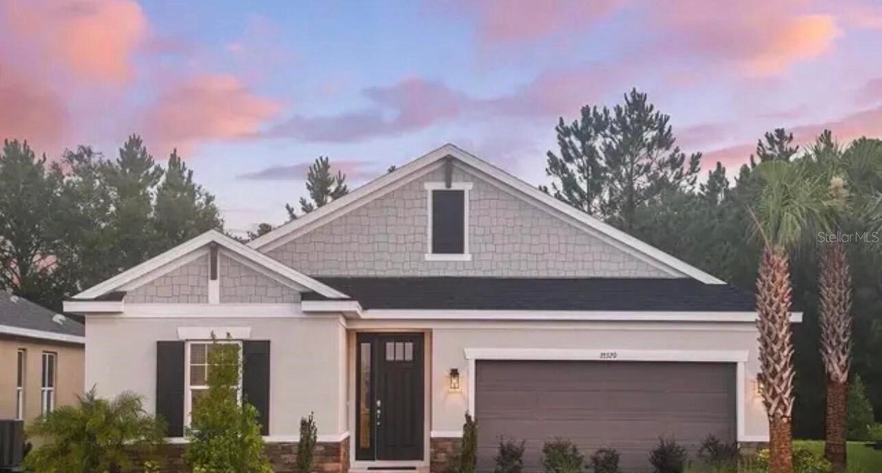 33320 Castaway Loop, Wesley Chapel, FL 33543
