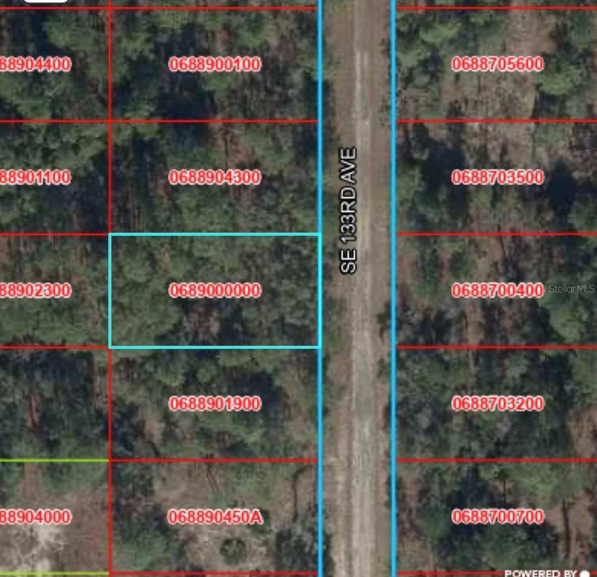 TBD 133rd Ave., Dunnellon, FL 34431