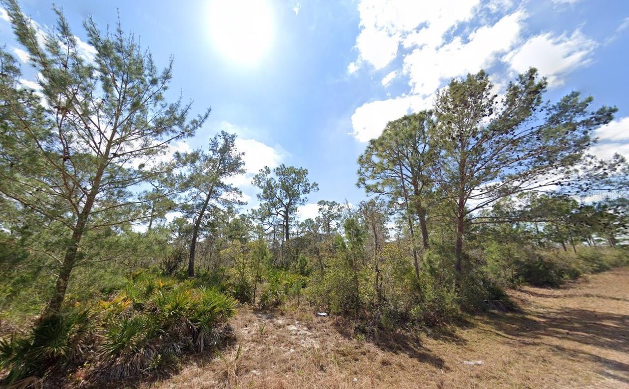 3049 Cedar Hill Ave., Lake Placid, FL 33852
