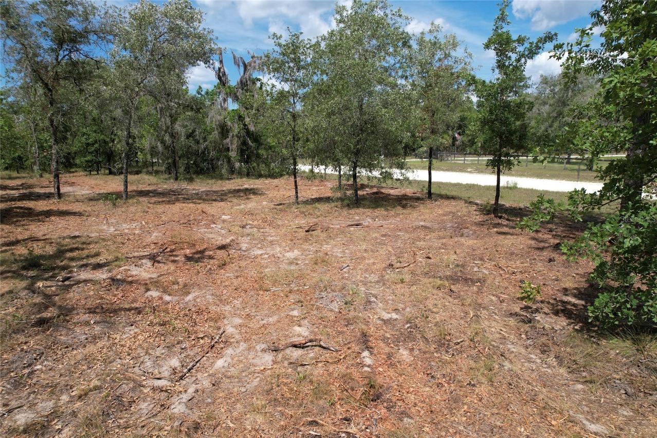 SE 53rd Ln., Morriston, FL 32668