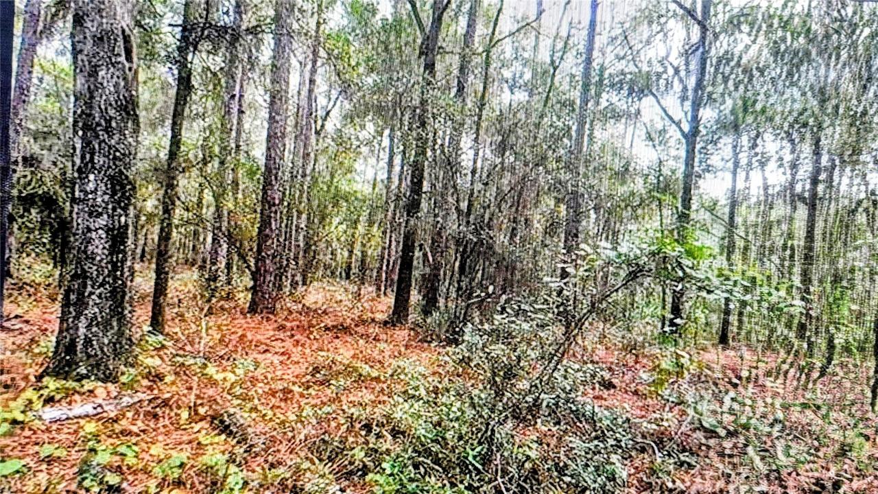 2871 W Sunkist Ln., Dunnellon, FL 34433