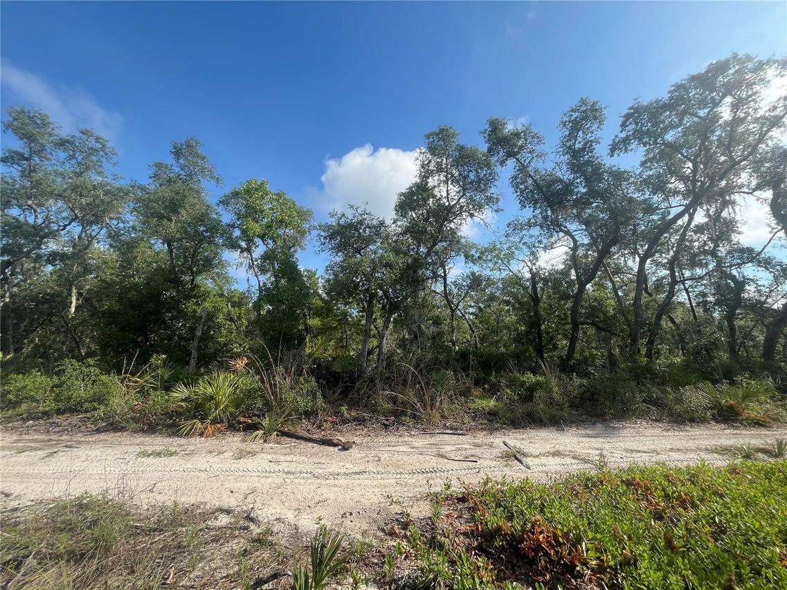 2942 Brownwood Cir., Sebring, FL 33875