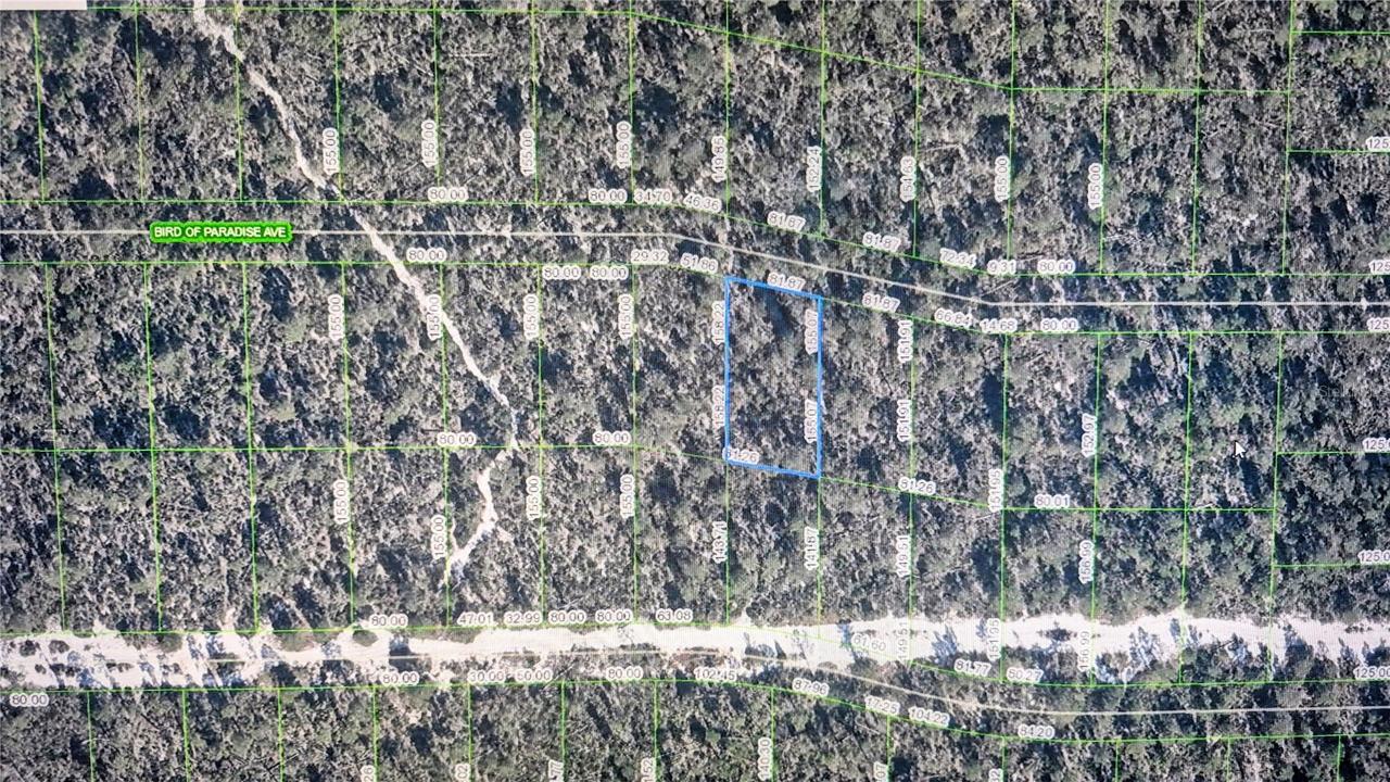 2137 Bird Of Paradise Ave., Sebring, FL 33875