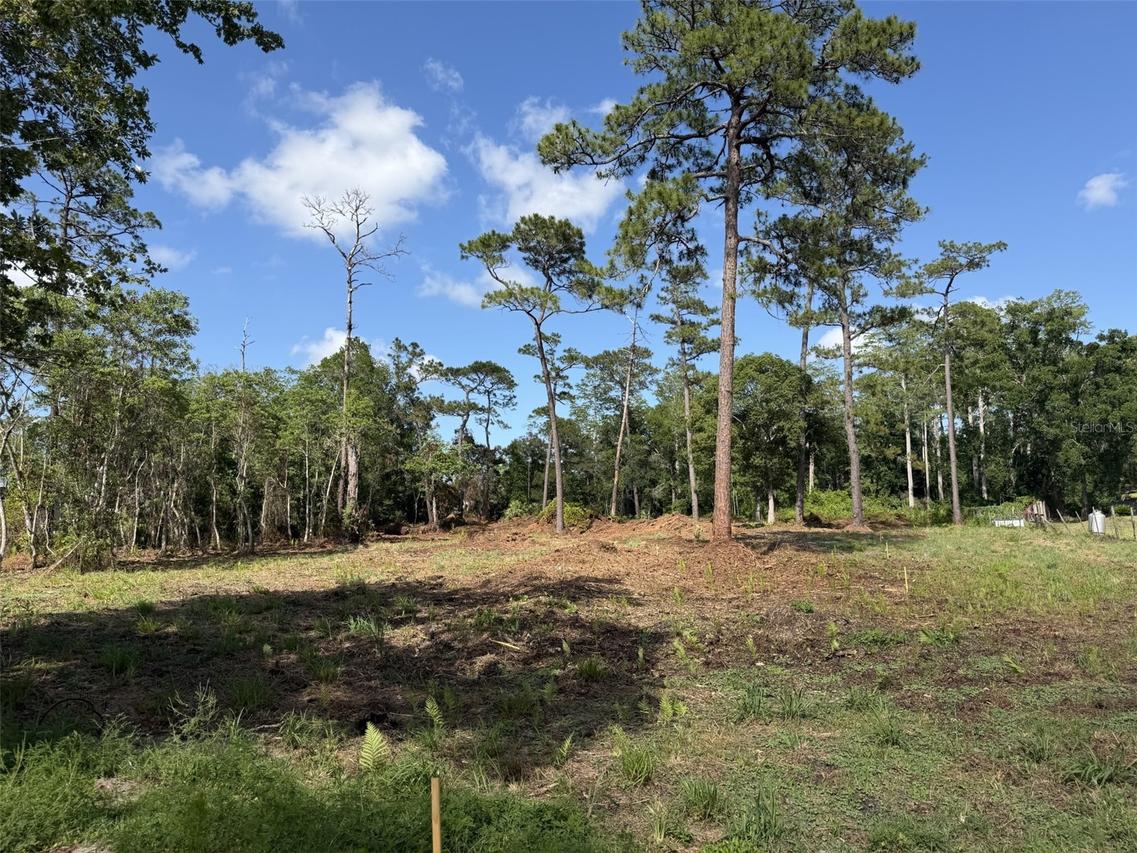 1005 Juniper Dr., Christmas, FL 32709