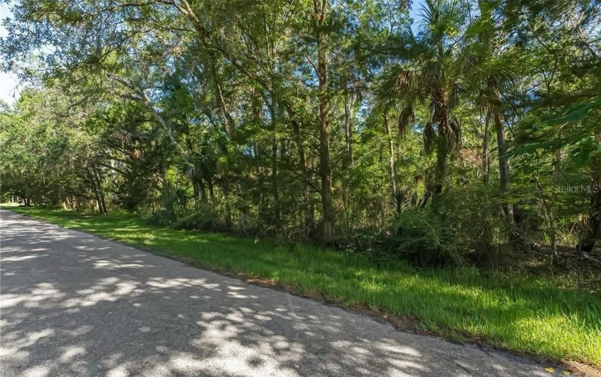 10975 W Rockhaven Ln., Homosassa, FL 34448