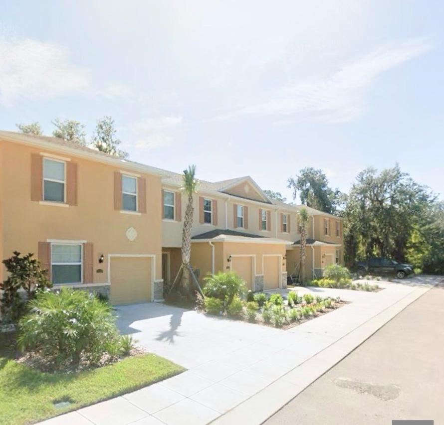 13805 River Fish Ct., Tampa, FL 33637