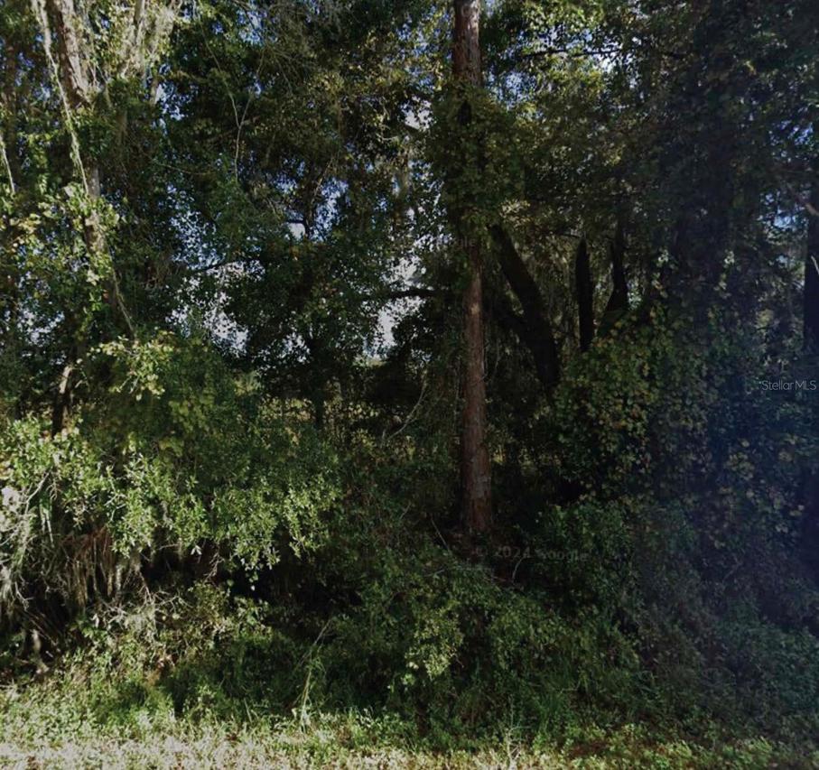 NE 234th Place Rd., Fort Mc Coy, FL 32134