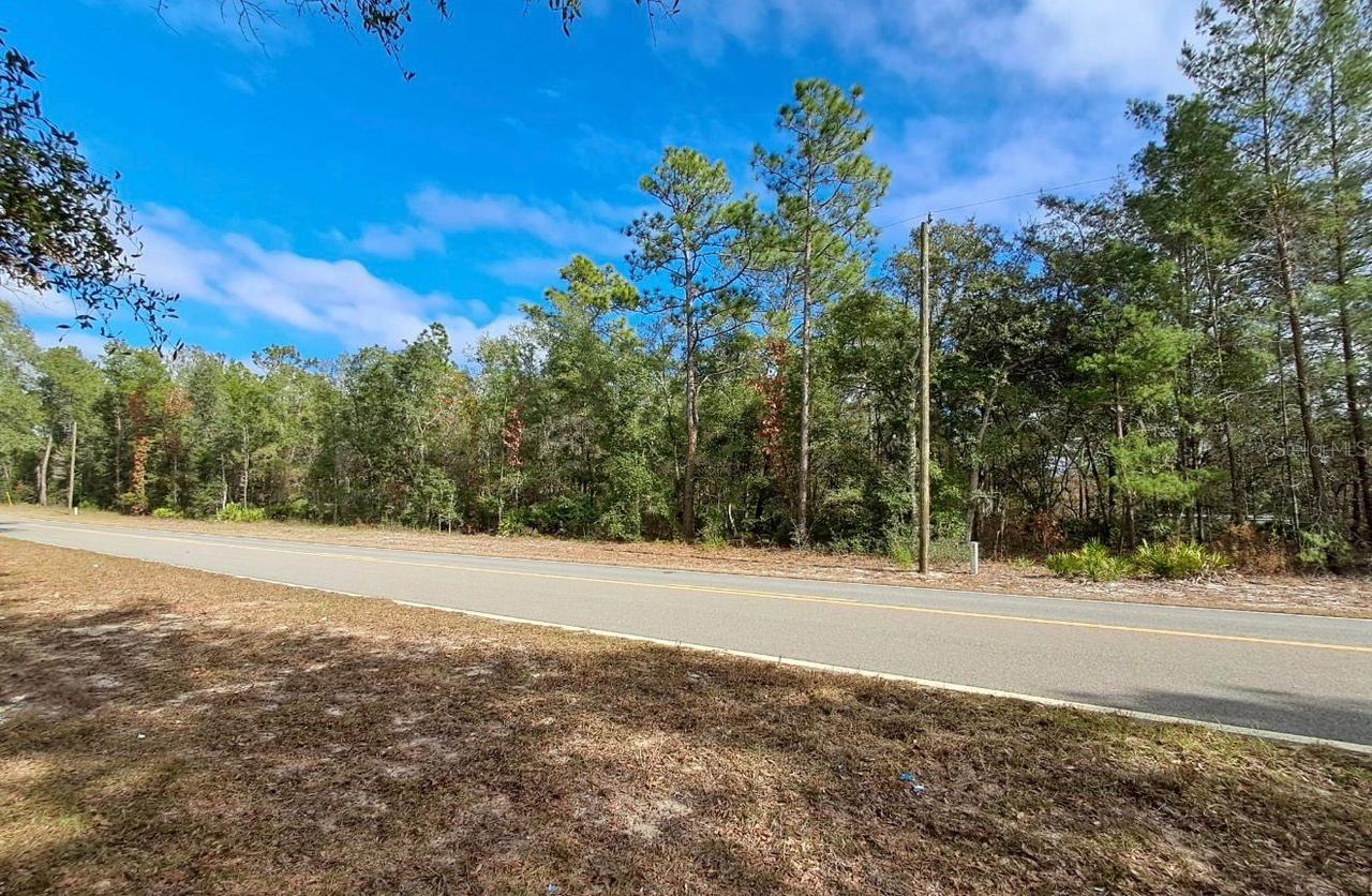 TBD Tbd, Interlachen, FL 32148