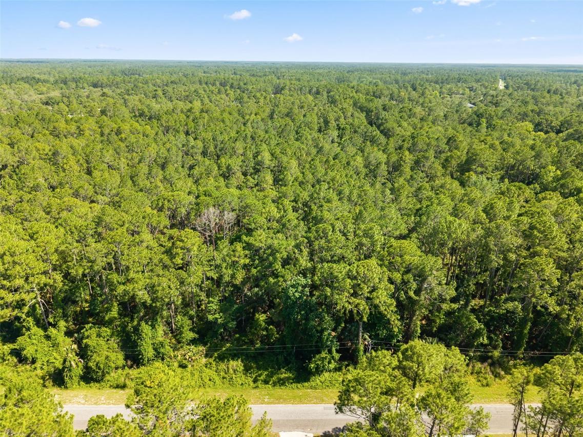 Apricot Ave., Eustis, FL 32736