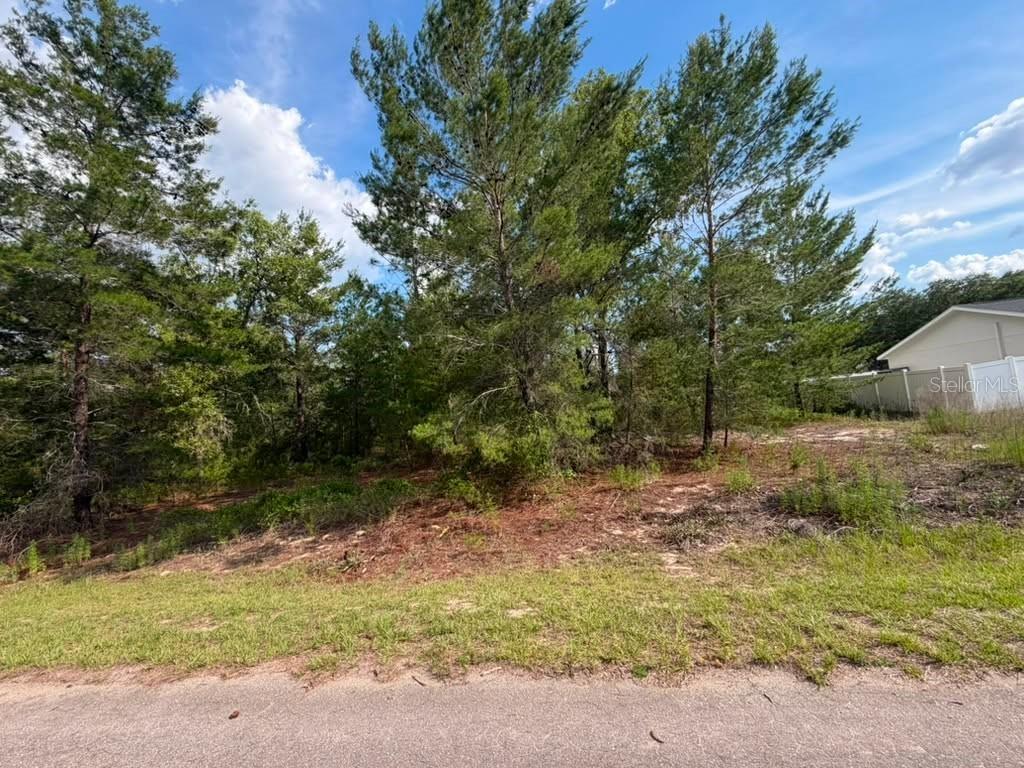 22 Fisher Run Ln., Ocklawaha, FL 32179