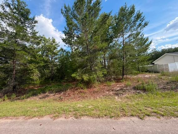 New Homes For Sale This Week in Ocklawaha: May 29th to June 4th