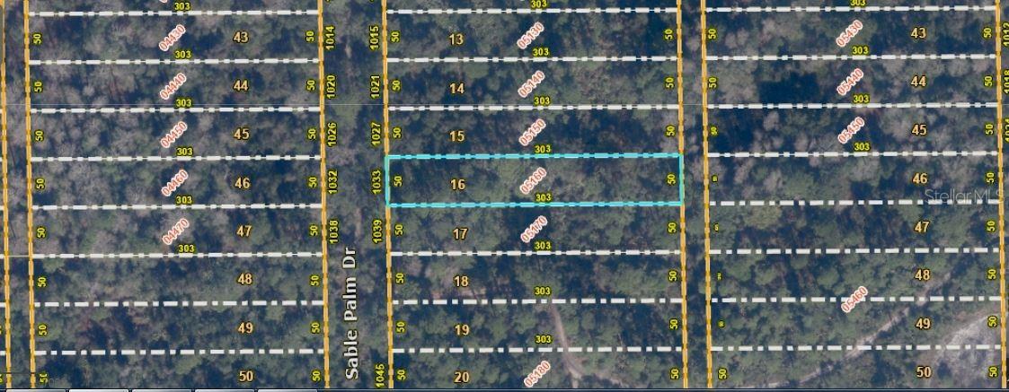 1033 Sable Palm Dr., Christmas, FL 32709