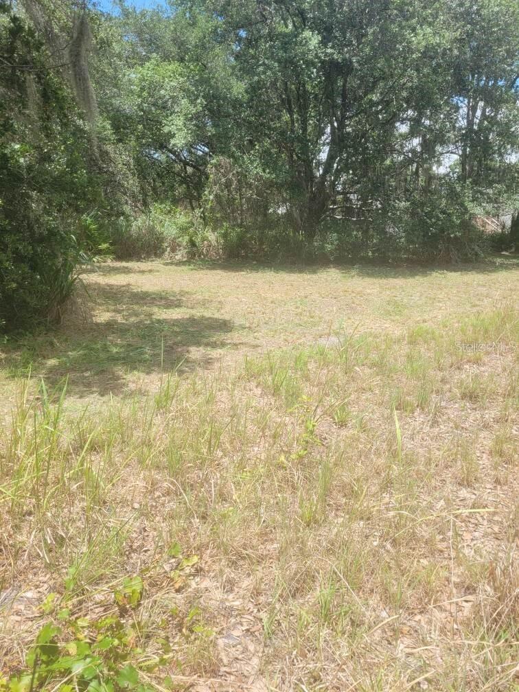 6631 Merle St., Mulberry, FL 33860