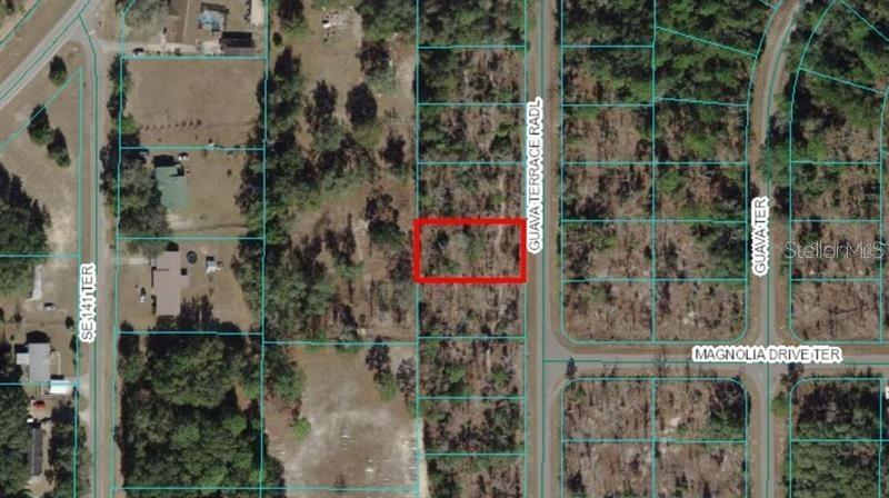 7 Guava Terrace Radial Radial, Ocklawaha, FL 32179