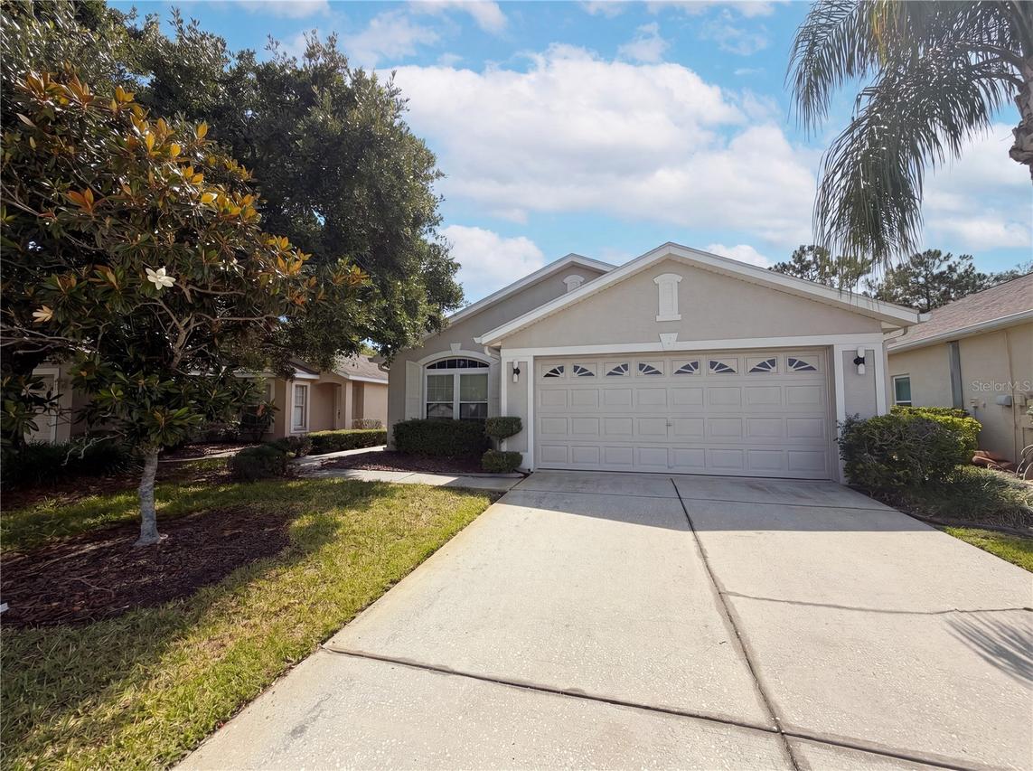 3133 Banyan Hill Ln., Land O Lakes, FL 34639