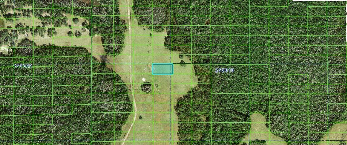 Commonwealth Ave., Polk City, FL 33868