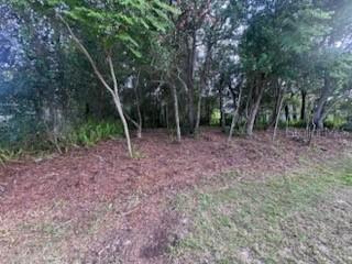 3253 Sardinia Ter., Deltona, FL 32738