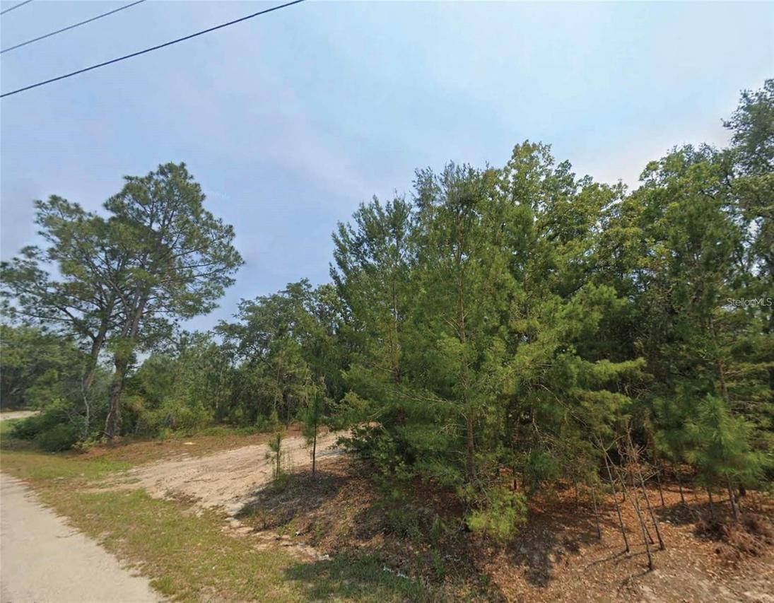 Malauka Pl., Ocklawaha, FL 32179