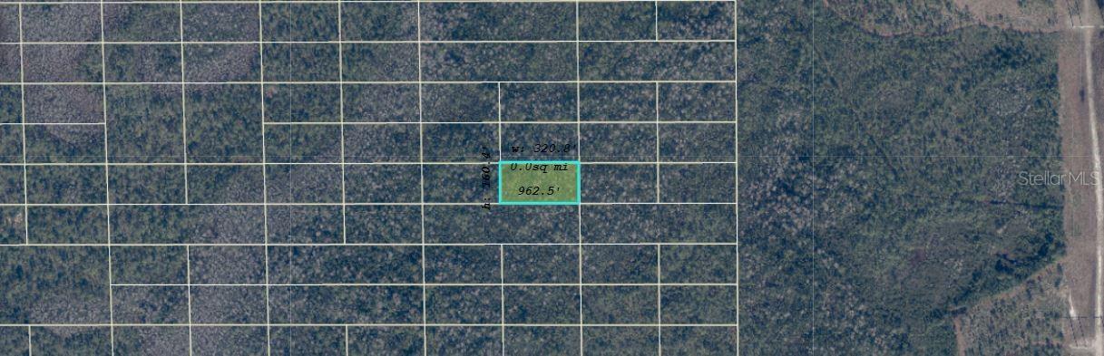 Dill Rd., Orlando, FL 32820