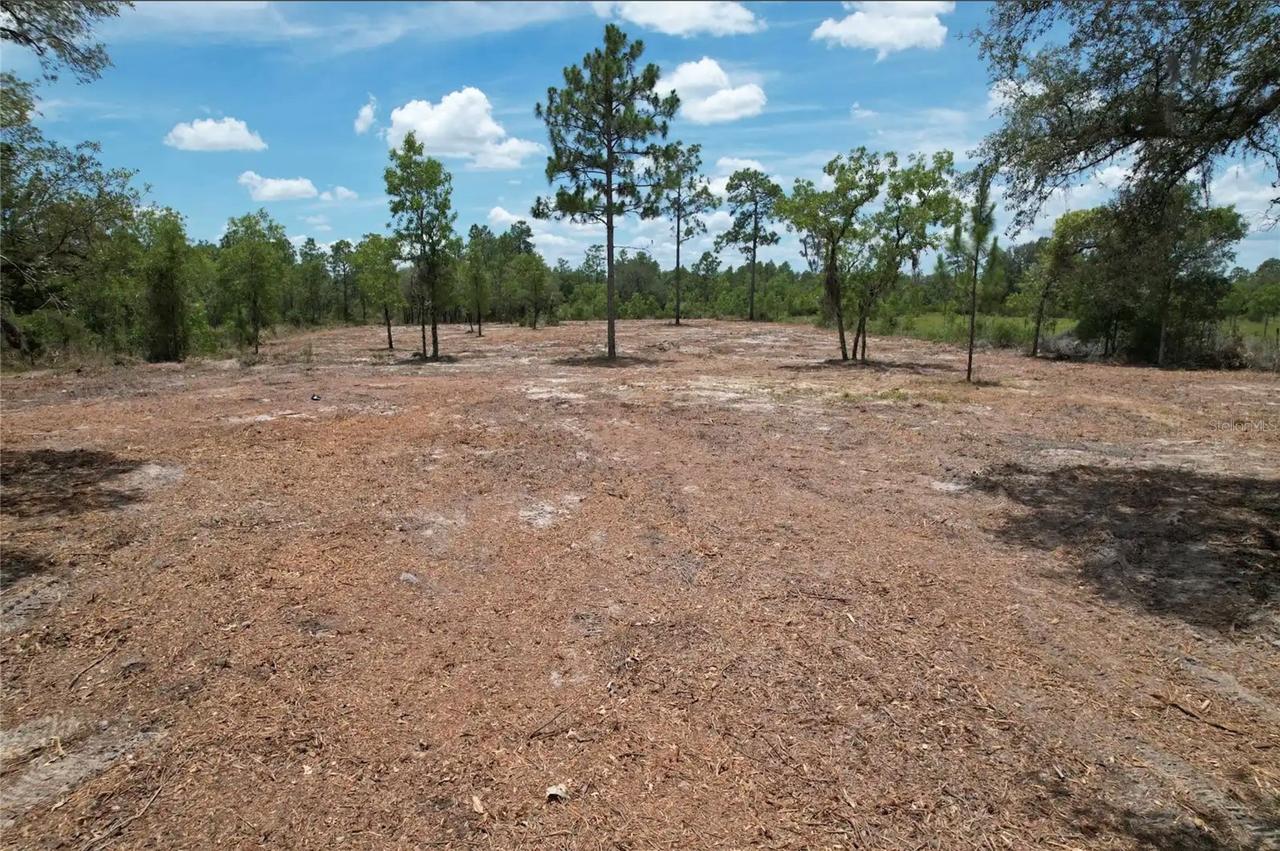 NE 56th St., Bronson, FL 32621