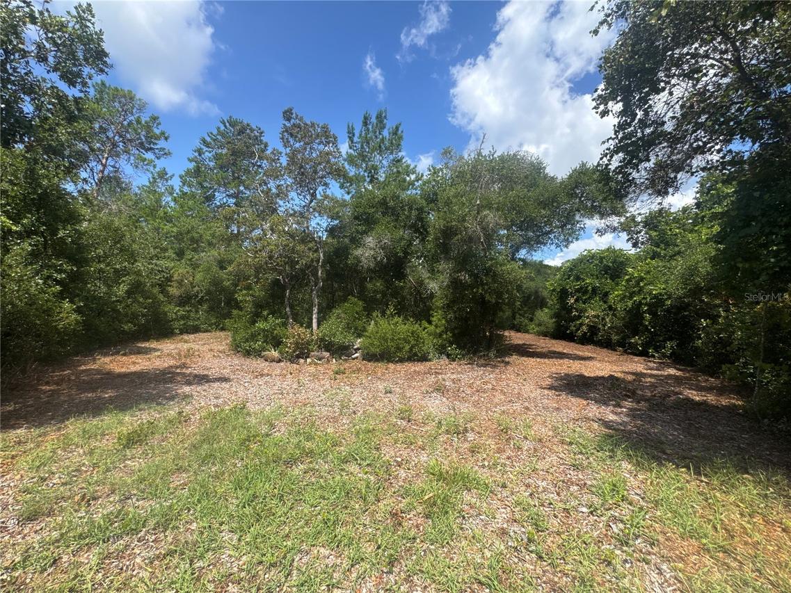 North Cir., Paisley, FL 32767